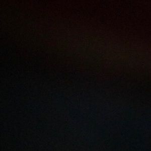 Meet your Posher, Bailey